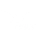 Logo ANCV sur fond transparent, avec pictogramme d’oiseau stylisé et nom de l’organisme.
