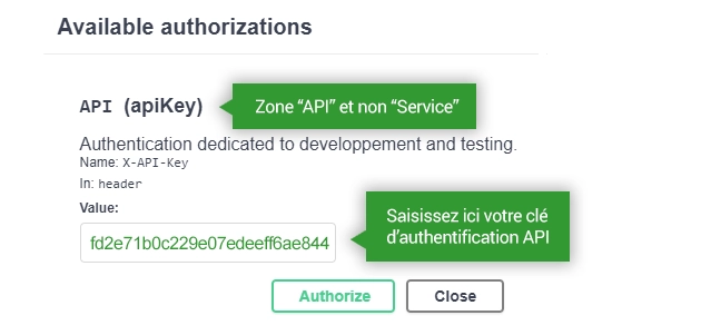 Écran d’authentification API affichant une clé d’autorisation pour accéder aux services Campaign.